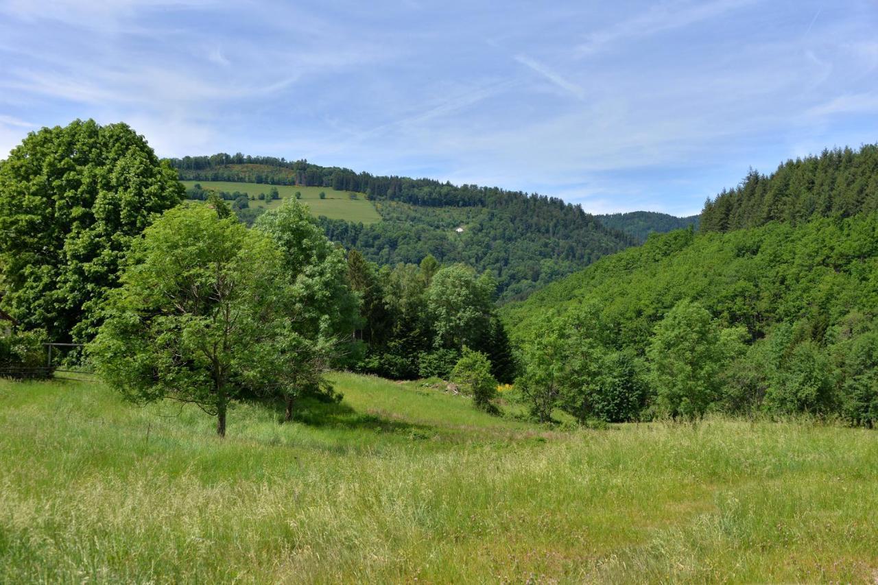 Gite De La Chapelle Des Mineurs Sainte-Marie-aux-Mines Zewnętrze zdjęcie